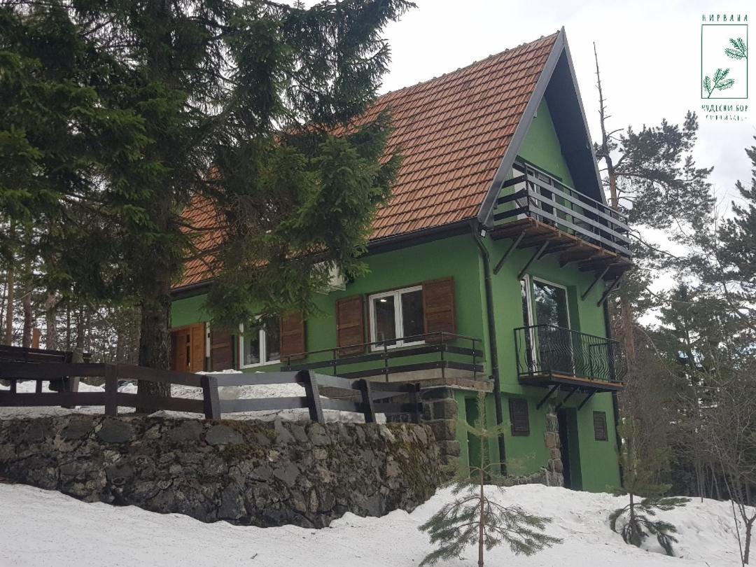 Nirvana Cudesni Bor Divcibare Bagian luar foto