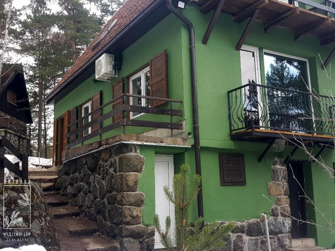 Nirvana Cudesni Bor Divcibare Bagian luar foto
