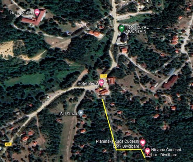 Nirvana Cudesni Bor Divcibare Bagian luar foto